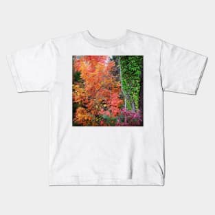 Autumn's Vibrancy Kids T-Shirt